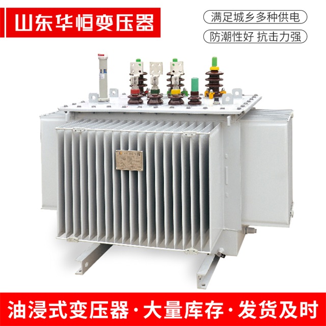S13-10000/35涞水涞水涞水电力变压器